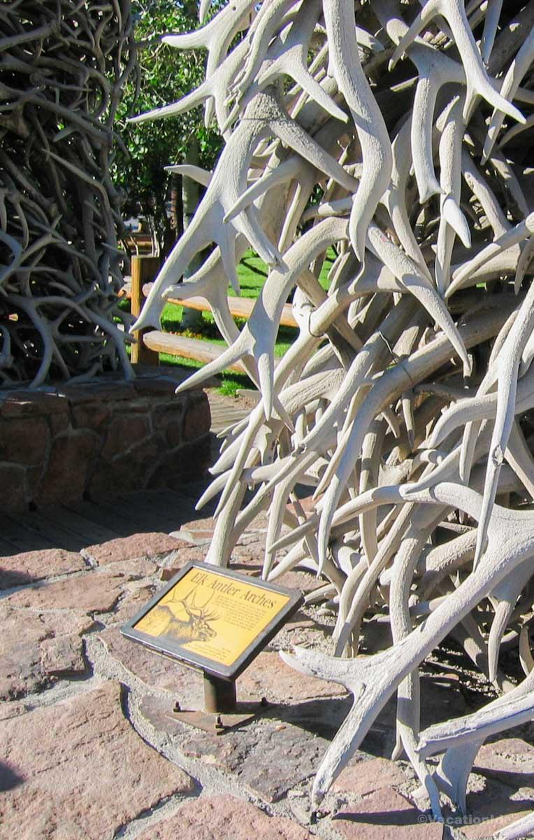 I took this photo of elk antlers in Jackson, WY