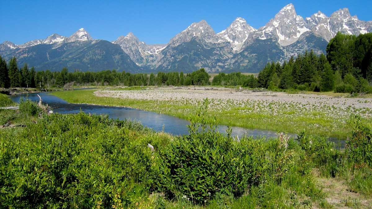 My photo of Snake River through Jackson Hole Valley. We discovered the best hidden spots when we hiked a little.