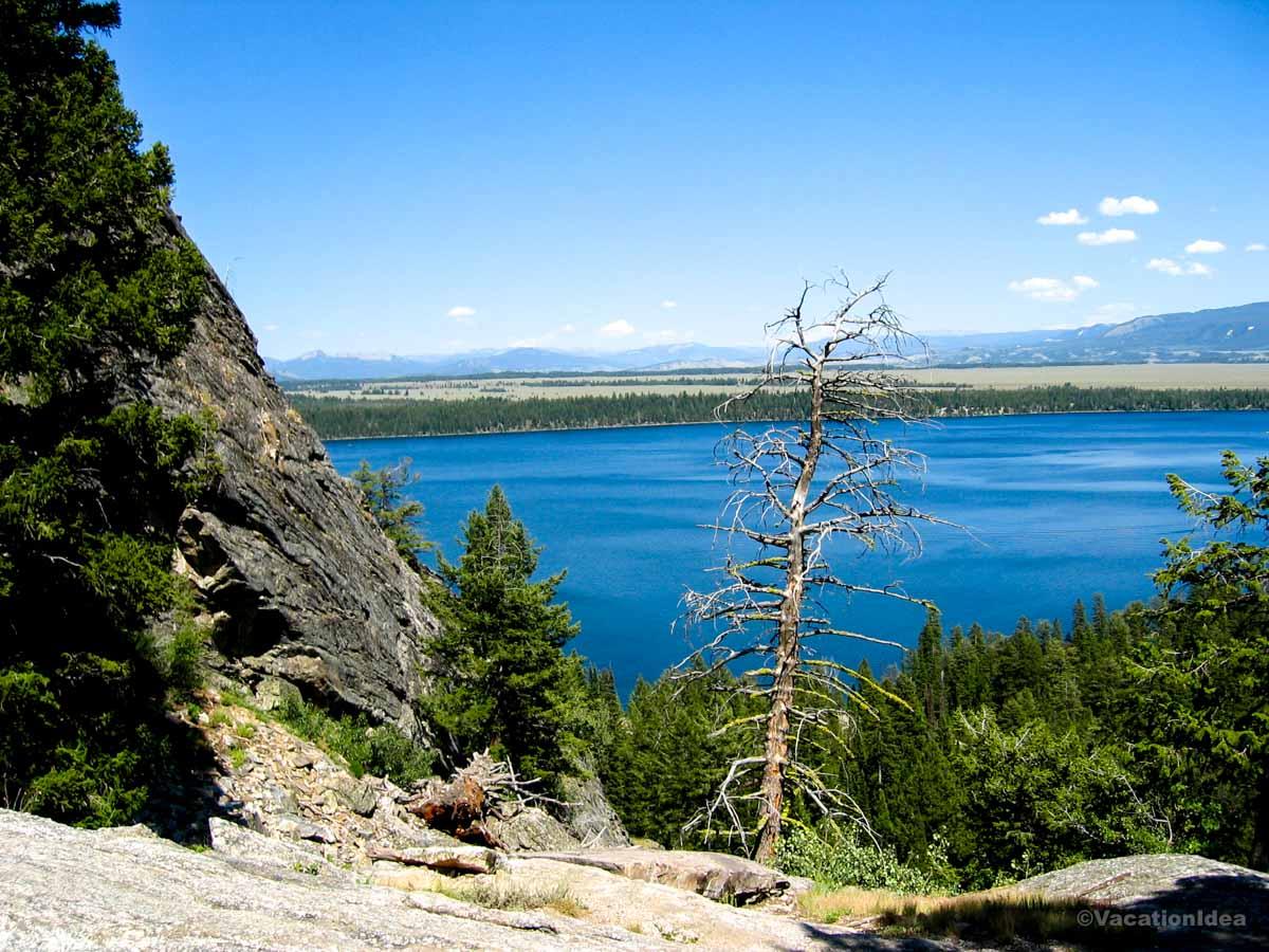 My husband took took this photo during our hike around Jenny Lake in Grand Teton