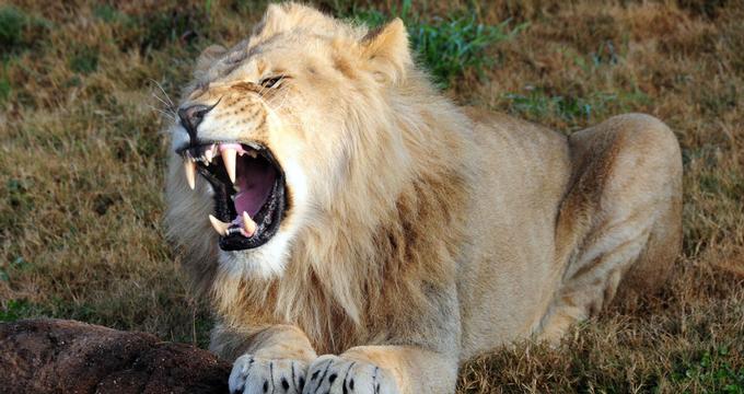 The 15 Best Things To Do In Norfolk 2020 With Photos