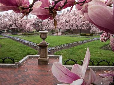 More Gardens