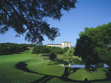 conferences weddings