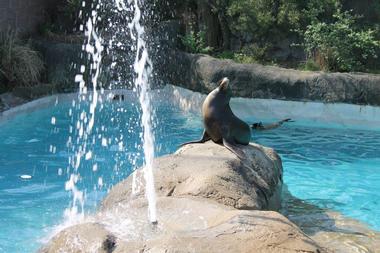 Pittsburgh Zoo & PPG Aquarium History