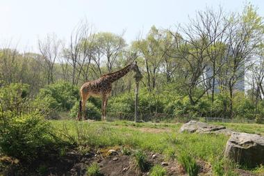 Exhibits at The Pittsburgh Zoo