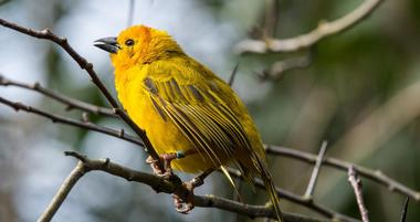 Woodland Park Zoo