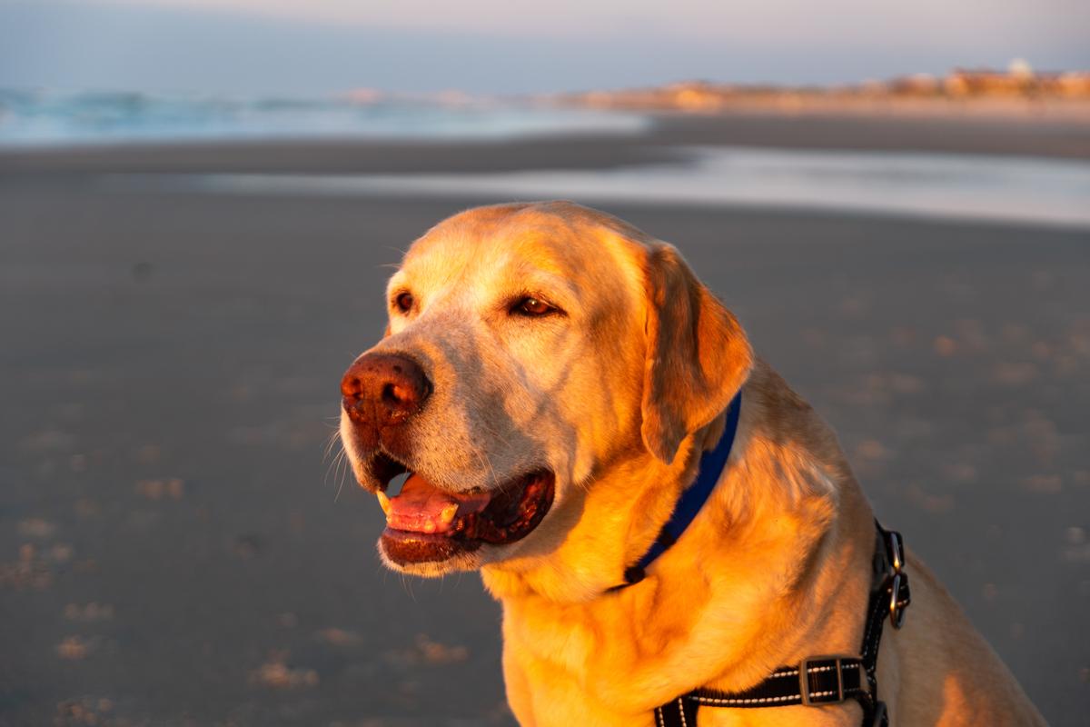 Avalon, NJ Travel Tips