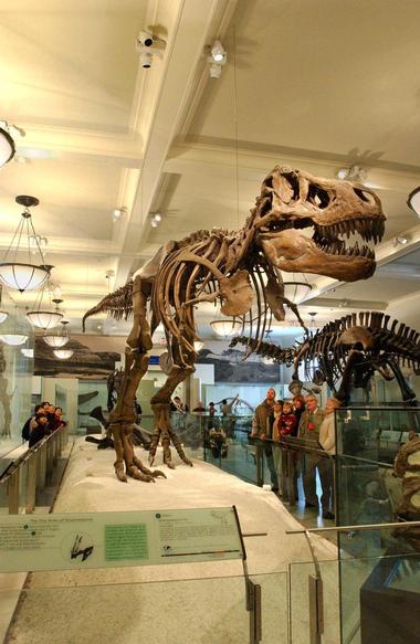 More Permanent Exhibitions