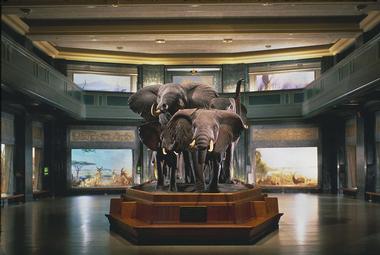 Plan Your Visit