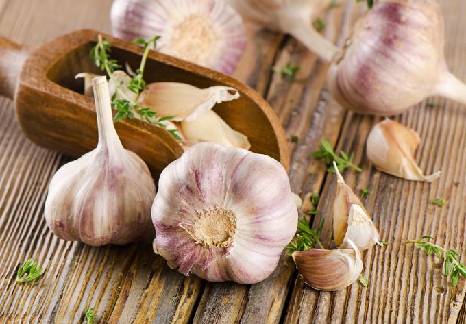 Hudson Valley Garlic Festival