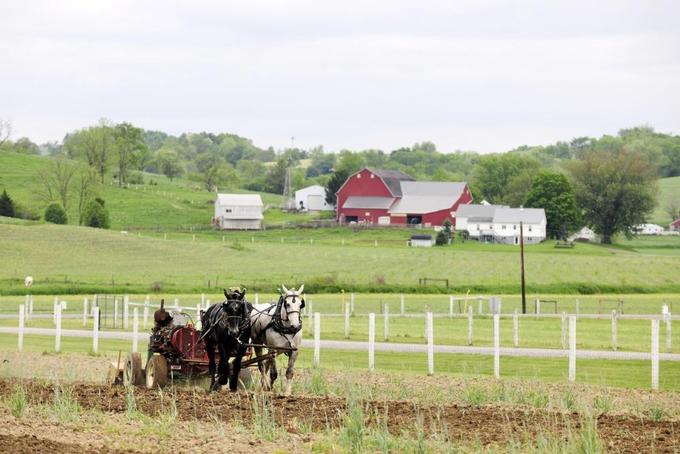 Amish Country