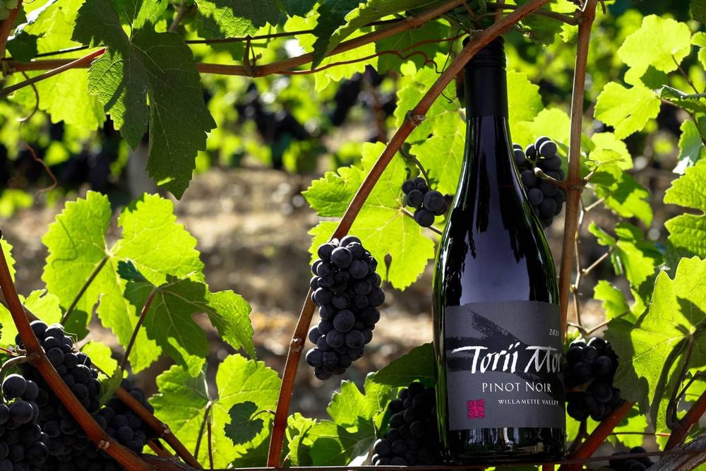 For romantics: Torii Mor Winery