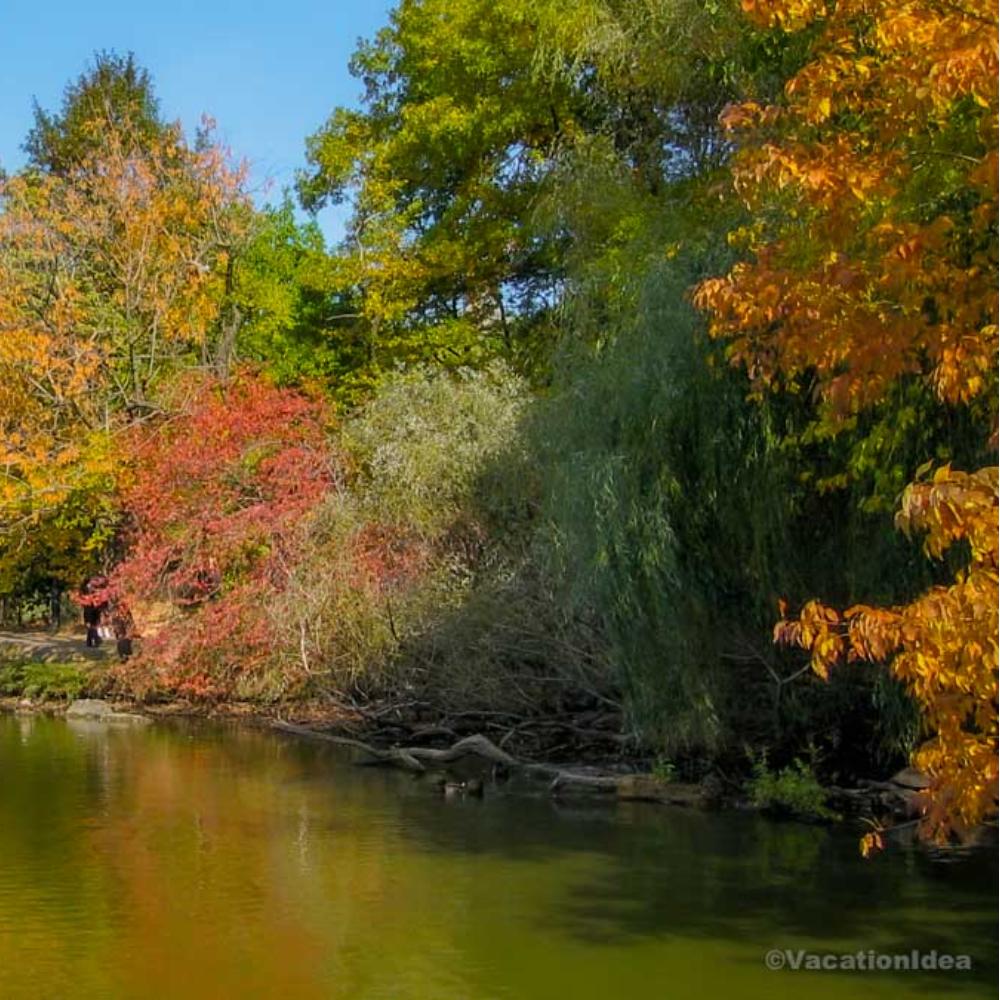 I took this photo on a lake near Madison in the fall