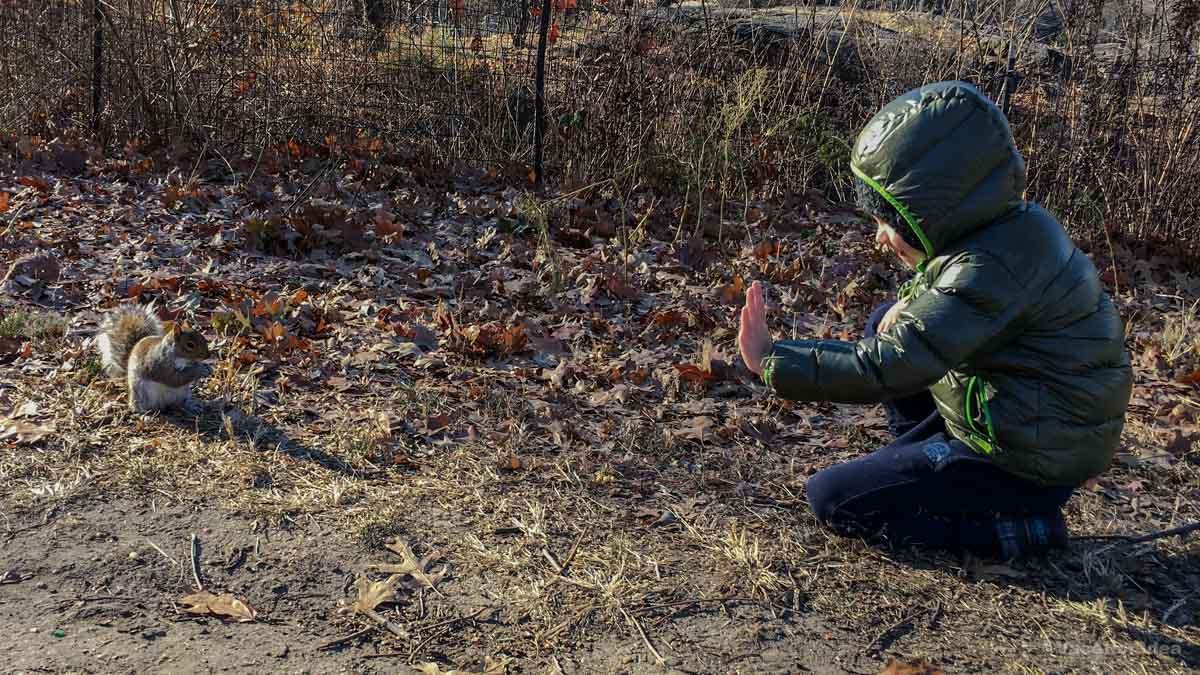 My son playing in the park in Brooklyn