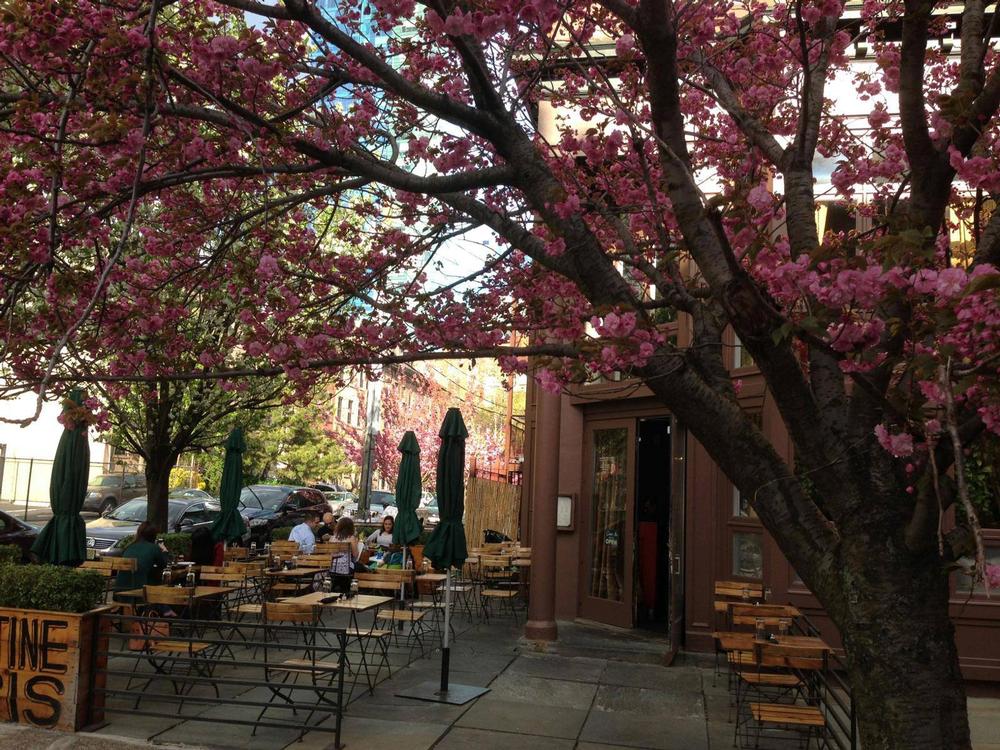 Dine Euro-Chic in the Heart of Jersey City at Satis