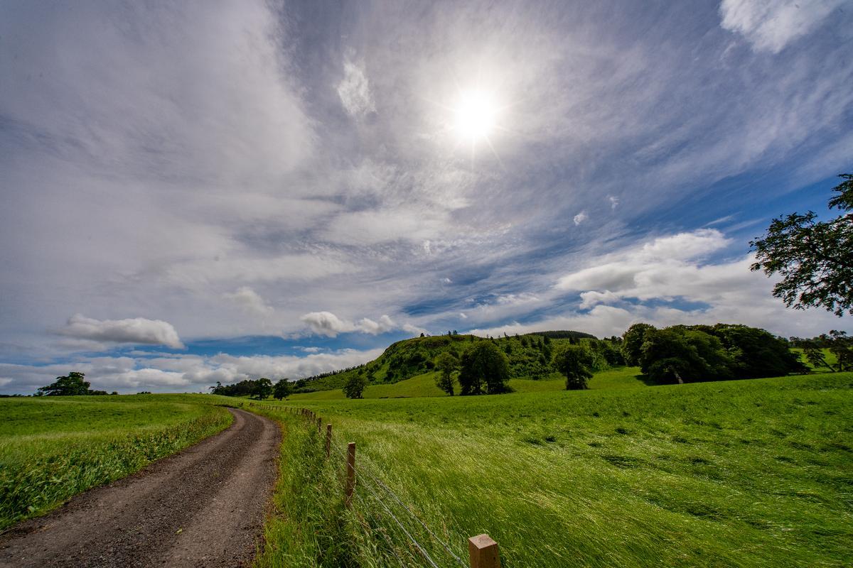 My photo of super green grass and walking path in Scotland in June
