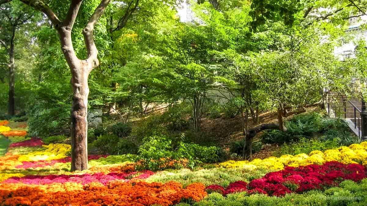 We saw some of the most incredible floral displays along the way. Here is my photo.