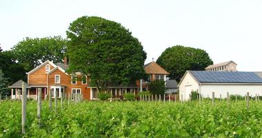 Rose Hill Vineyards & Inn