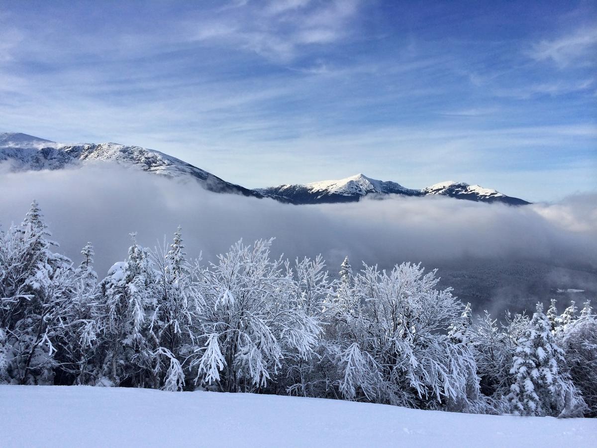 Snowy slope in the White Mountains