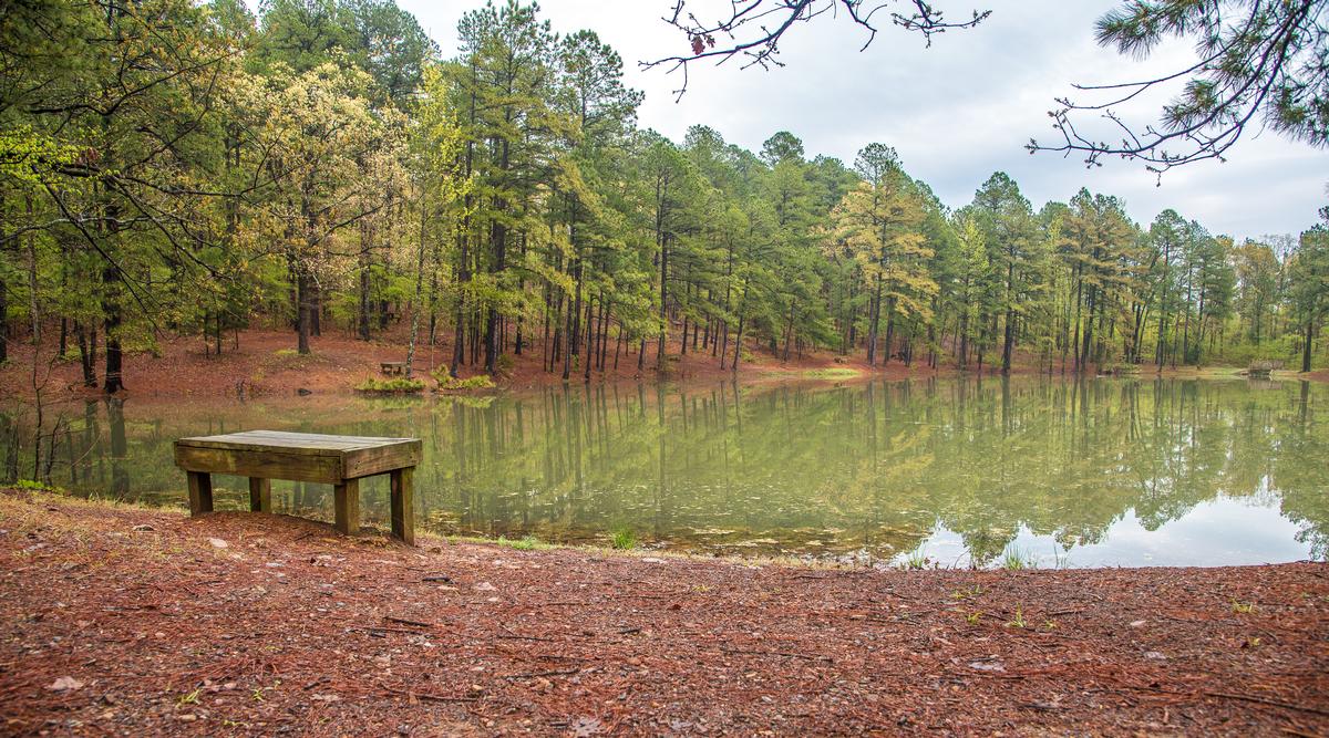 Conners Park, Little Rock