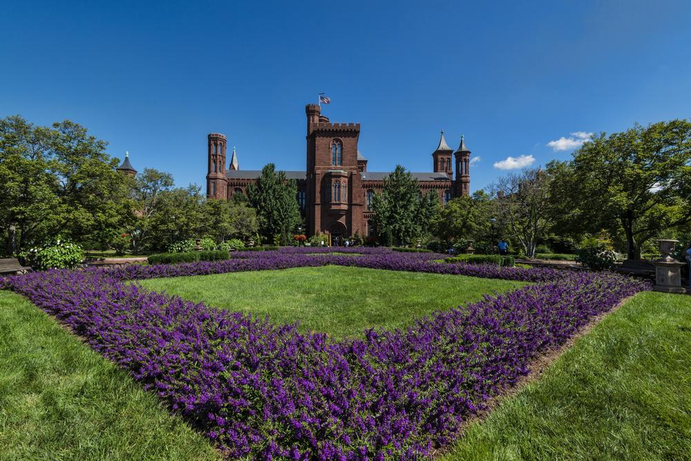 Wander Through the Smithsonian Gardens for a Peaceful City Escape