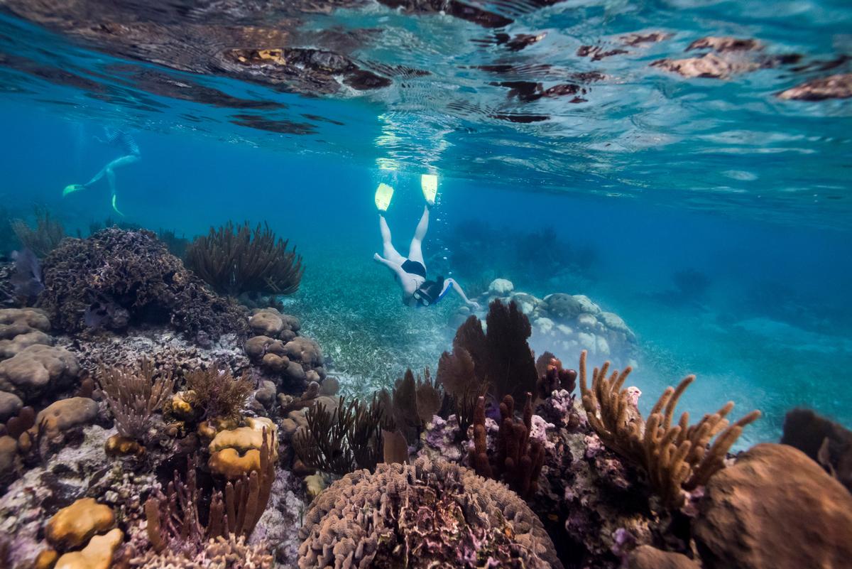 Turneffe Atoll, Belize Barrier Reef, Belize