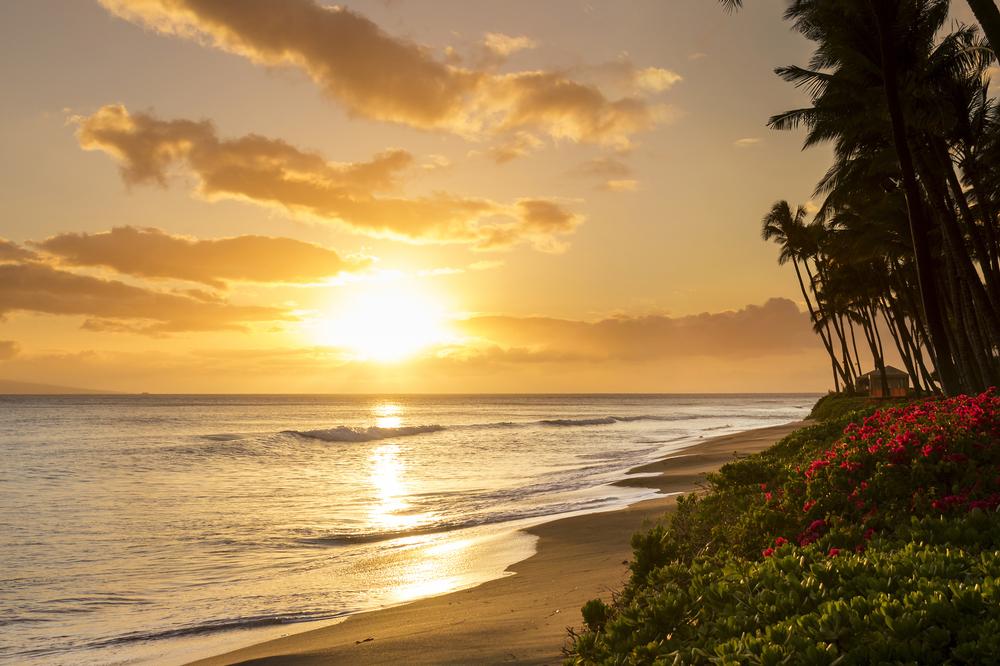 Chase the Sun and Head to the Beach