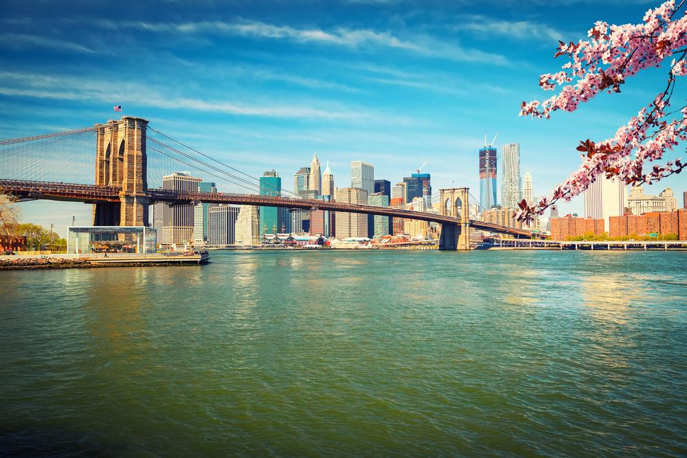 Take a Bite Out of the Big Apple in New York City