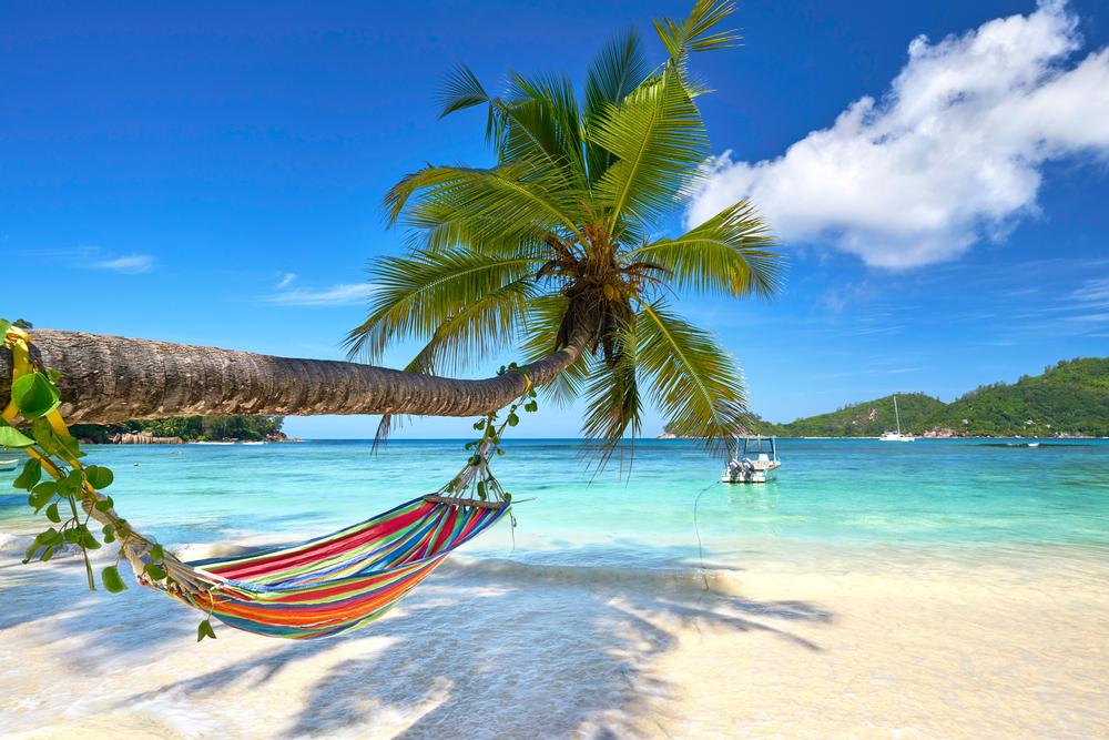 Dive into Dreamy Waters in Seychelles