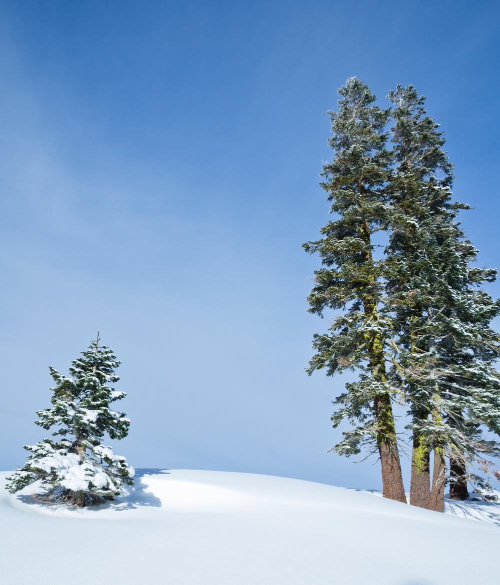 Carve Stunning Slopes at Diamond Peak, Nevada