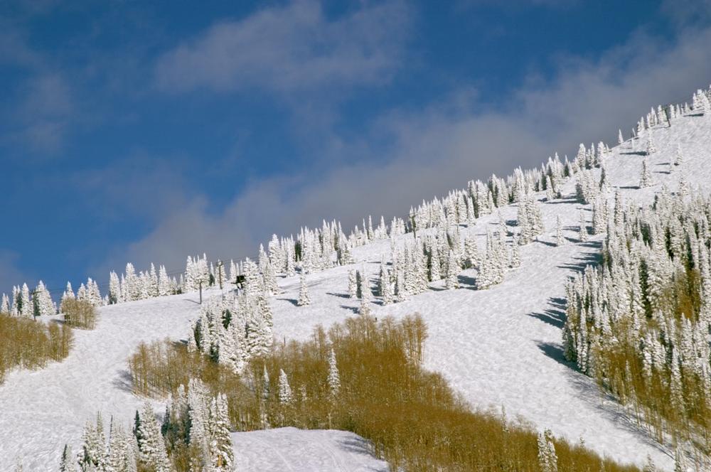Ski the Champagne Powder at Steamboat Springs, Colorado