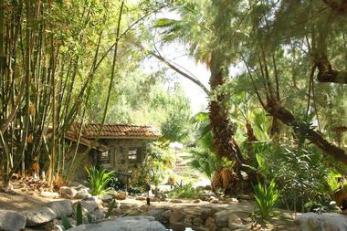 Two Bunch Palms Rooms and Suites