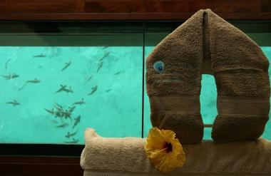 Overwater Treatment Rooms - Bora Bora | Romantic Spa Getaways