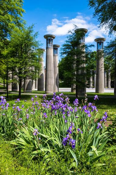 Have a picnic in Bicentennial Capitol Mall State Park