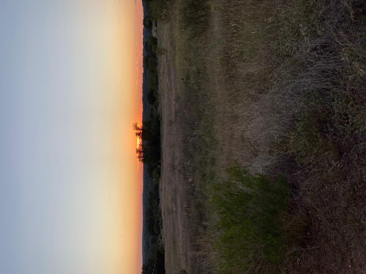 Things to Do in Lakeway, Texas Hill Country