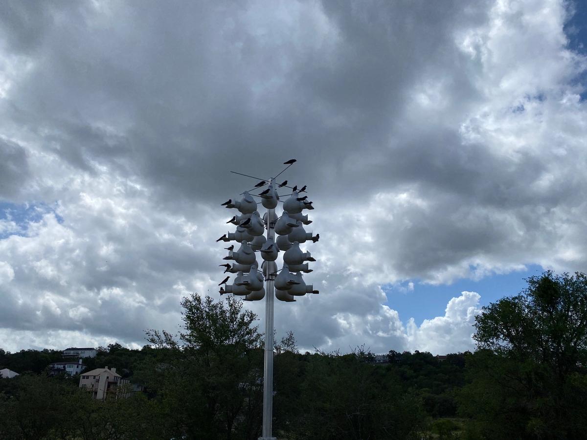 There are some cool birdhouses with lots of birds in Lakeway City Park