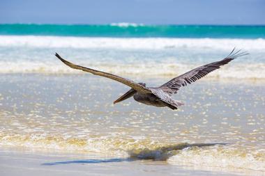 Getting to Puerto Ayora, Galapagos - Continued