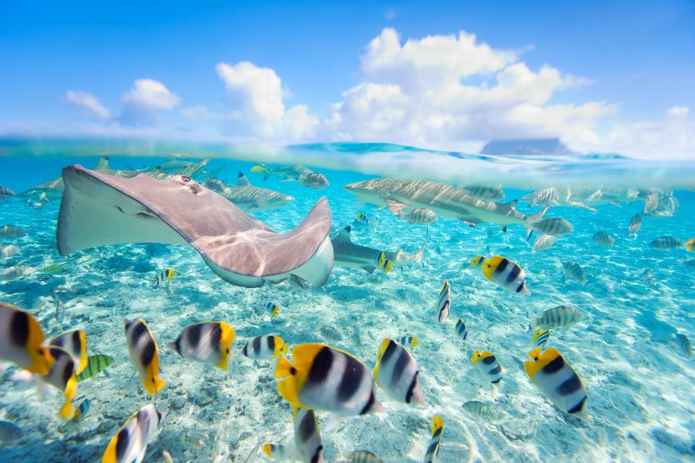 Getting Around Bora Bora