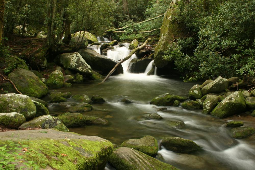 Gatlinburg Convention and Visitors Bureau