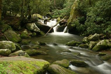 Gatlinburg Convention and Visitors Bureau