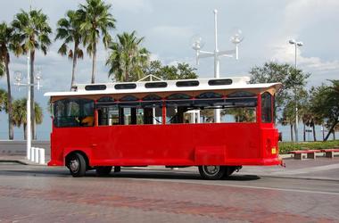 Getting Around Tampa
