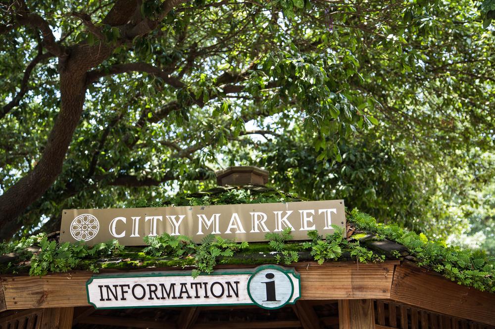 Information for Visitors in Savannah