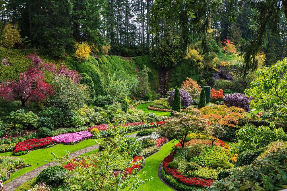 Information for Visitors in Vancouver