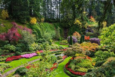 Information for Visitors in Vancouver