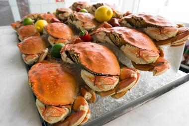Restaurants & Shopping on St. Lucia