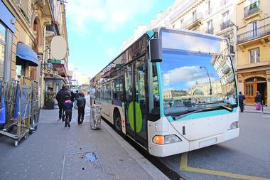 Getting Around by Bus