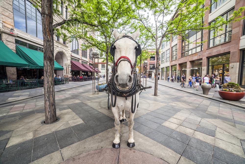 Denver Pedicabs & Carriage Rides