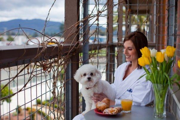 Relax Riverside in Wine Country at Napa River Inn