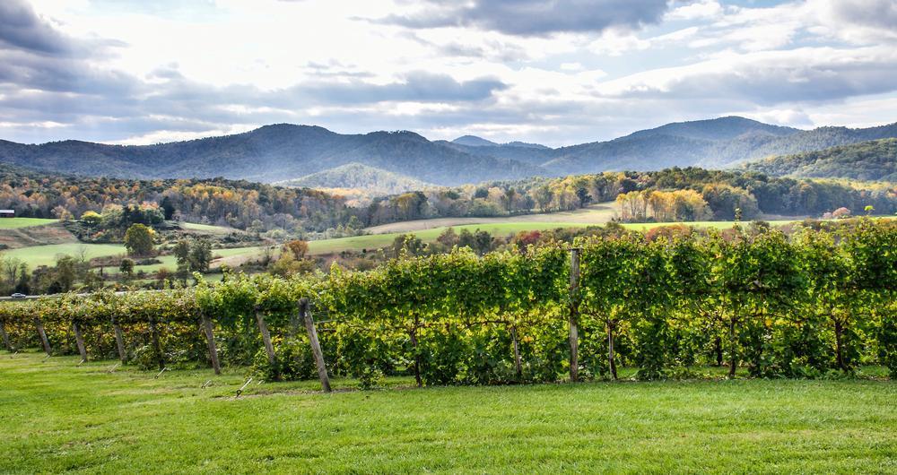 Lexington’s Brick Roads & Mountain Edges