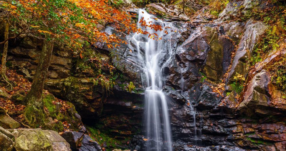 Pelham’s Stone Trails & Southern Stillness