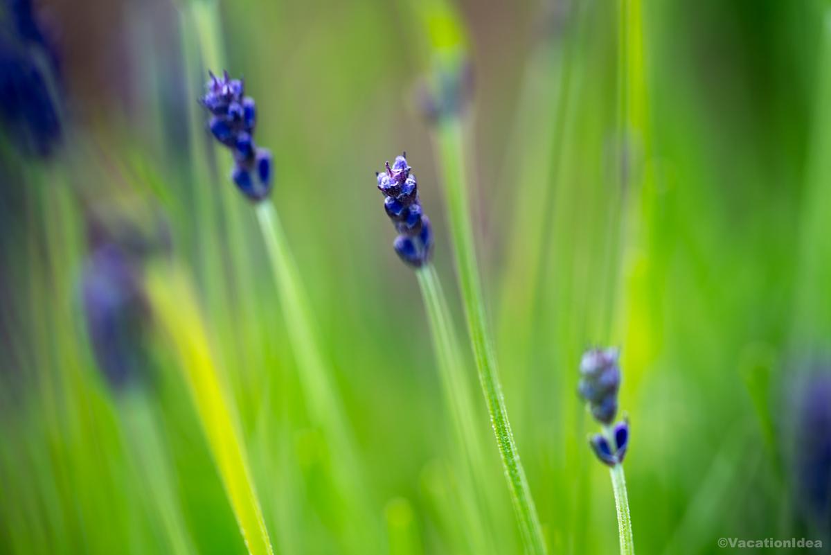 My photo of beautiful nature